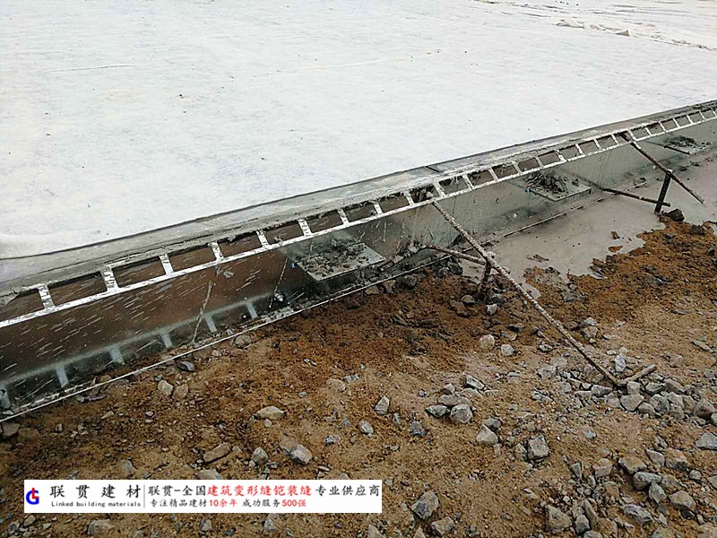 西双版纳铠装缝案例